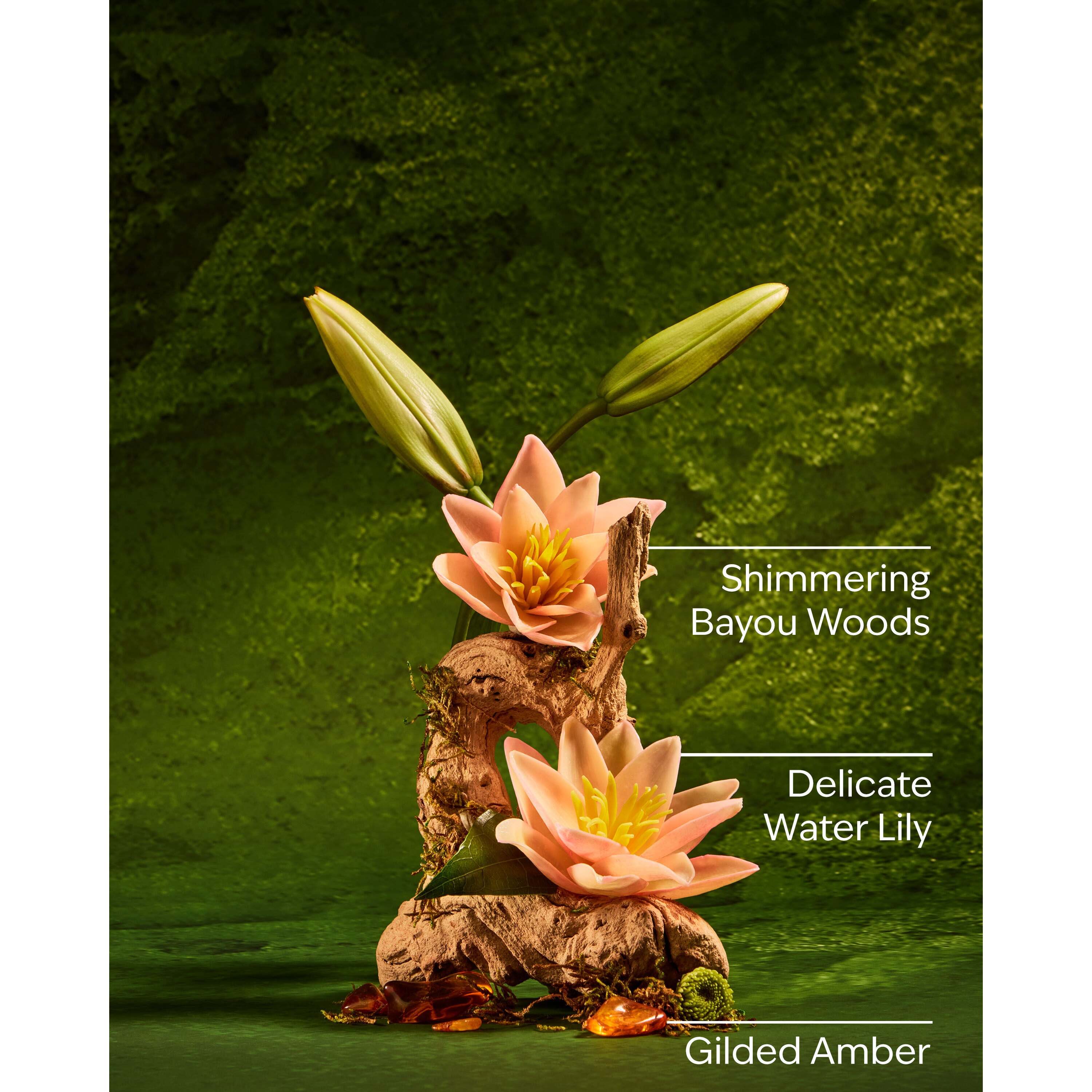 Tiana Body Wash - Image 3