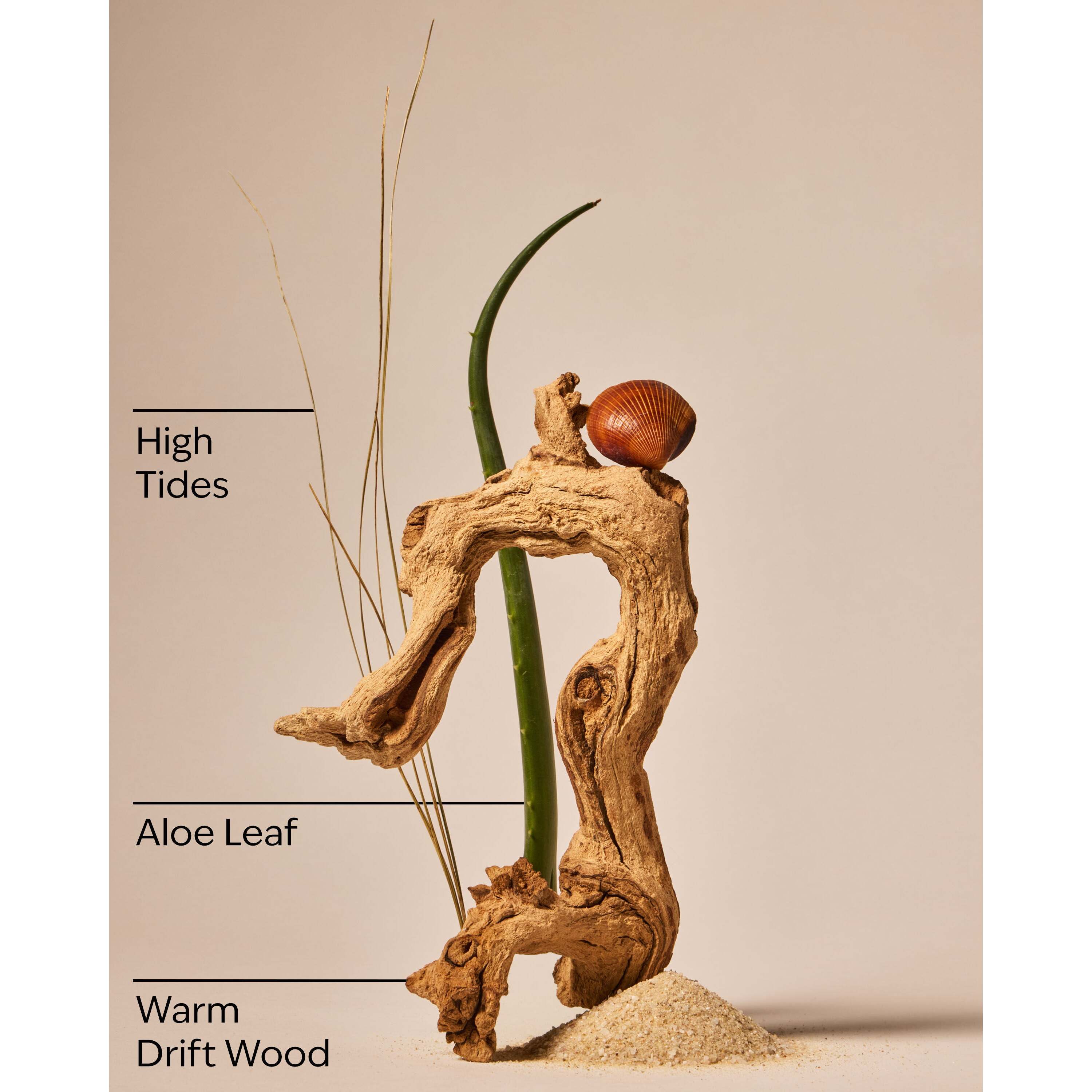 Freshwater Waves Gentle & Clean Foaming Hand Soap - Image 3