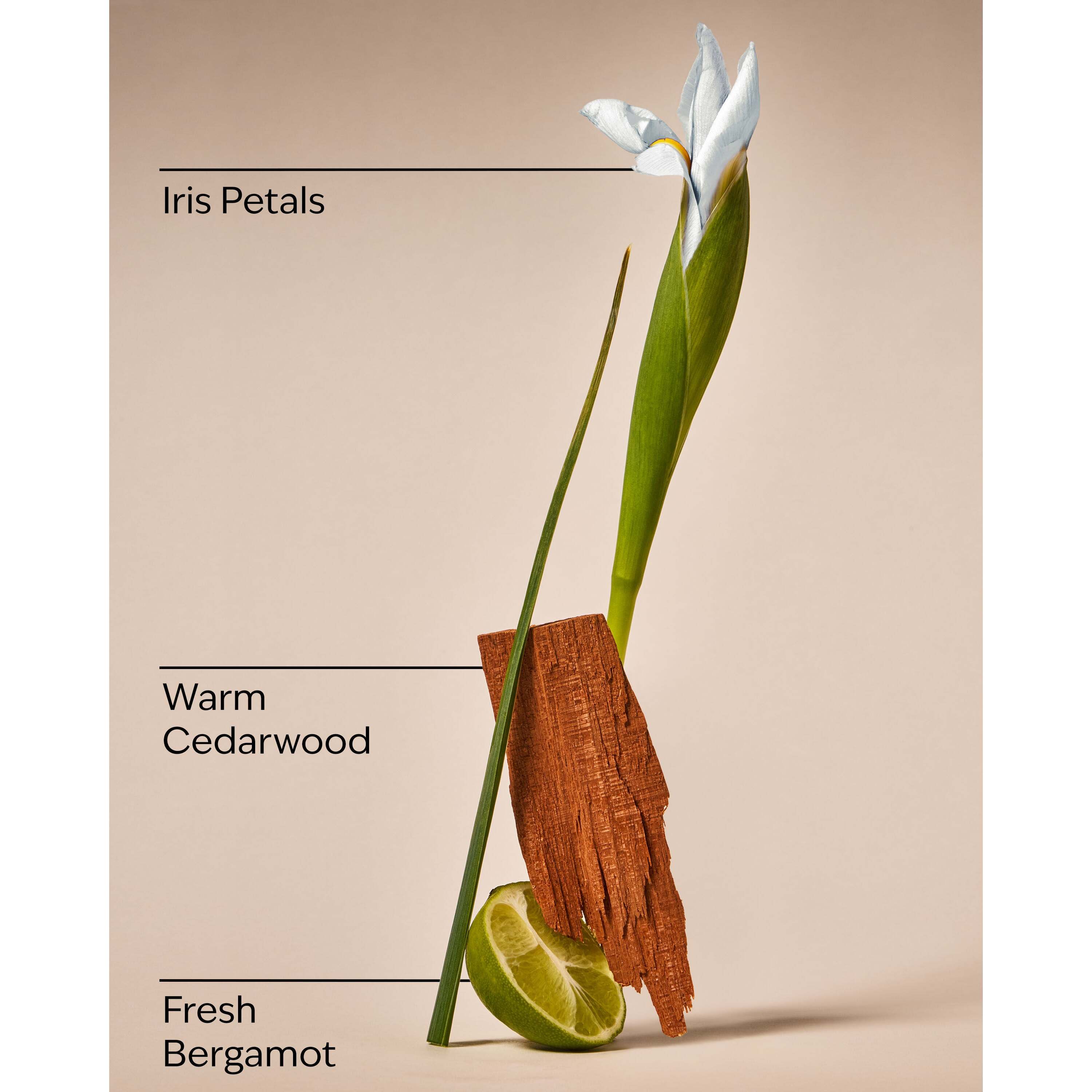 White Iris & Cedarwood Gentle & Clean Foaming Hand Soap - Image 3