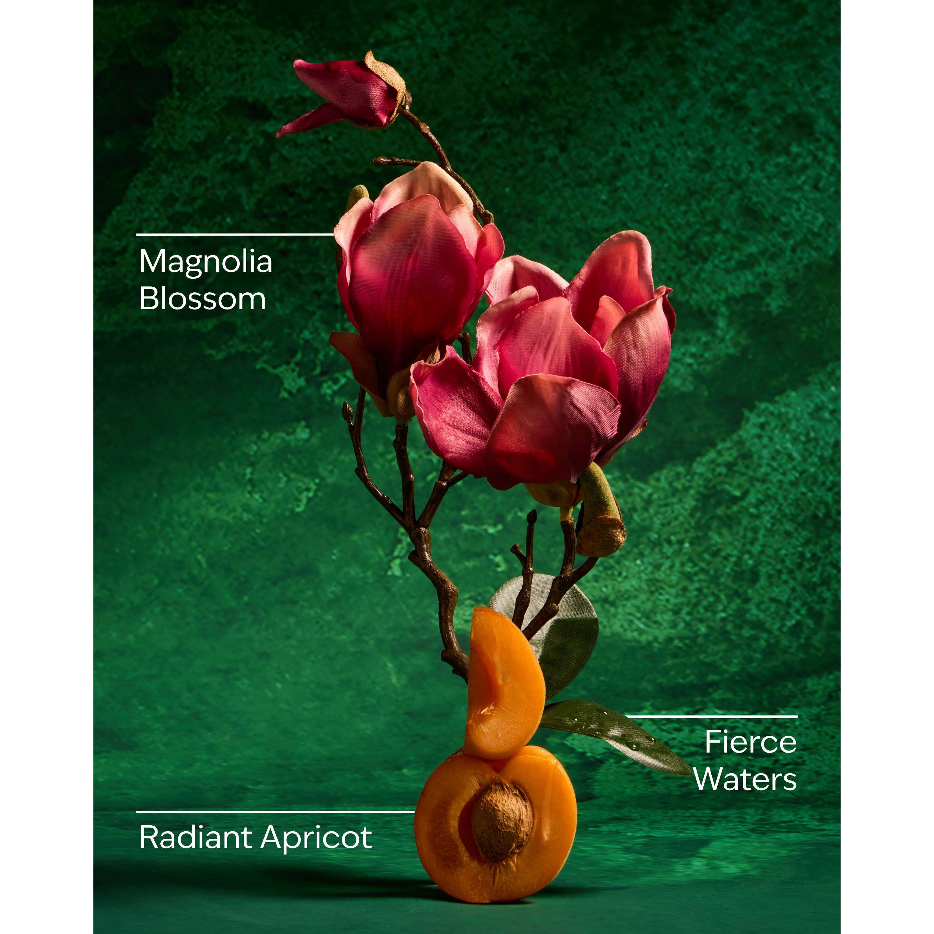 Mulan Wallflowers Fragrance Refill - Image 3