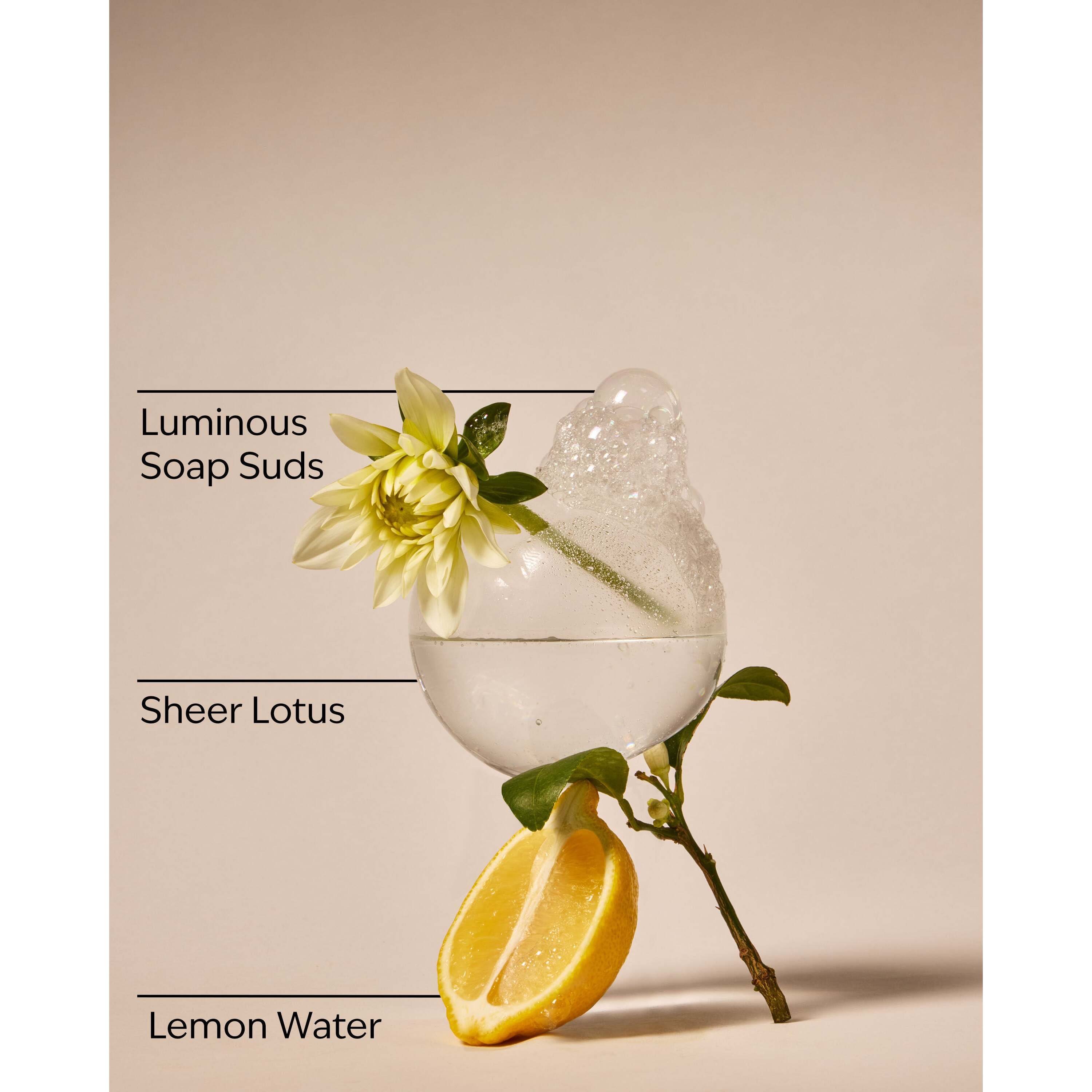 Clean House Vibes - Sparkling Bubbles Wallflowers Refills 2-Pack - Image 3