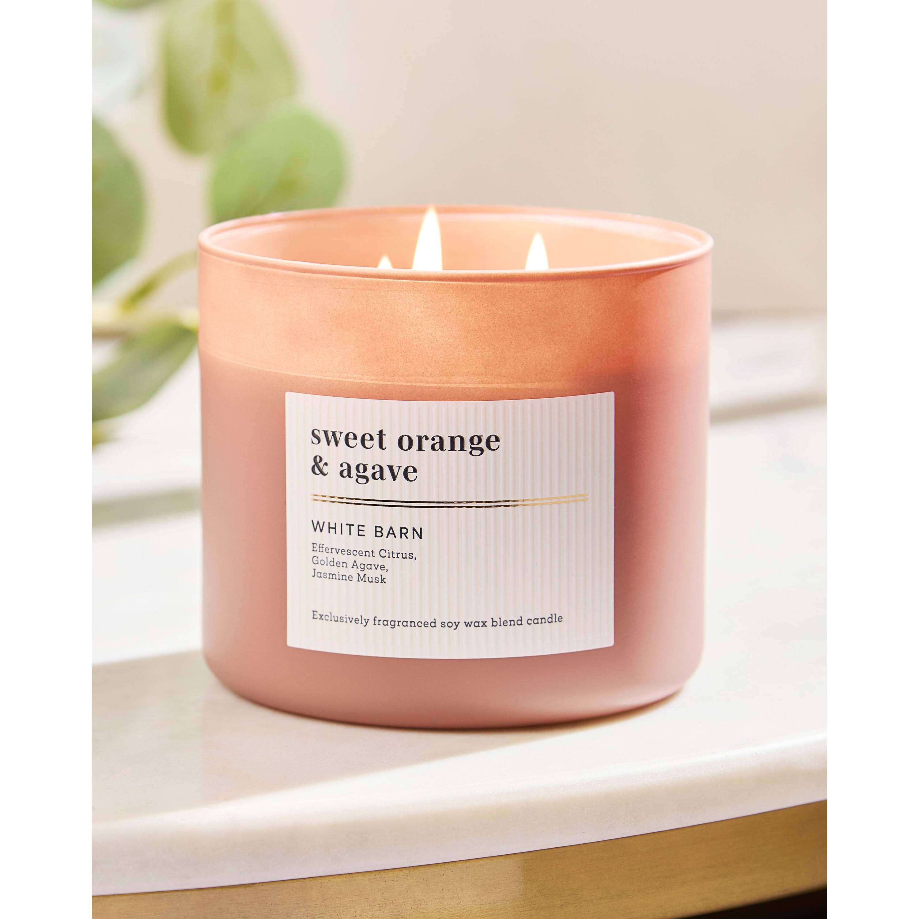Sweet Orange & Agave 3-Wick Candle - Image 6