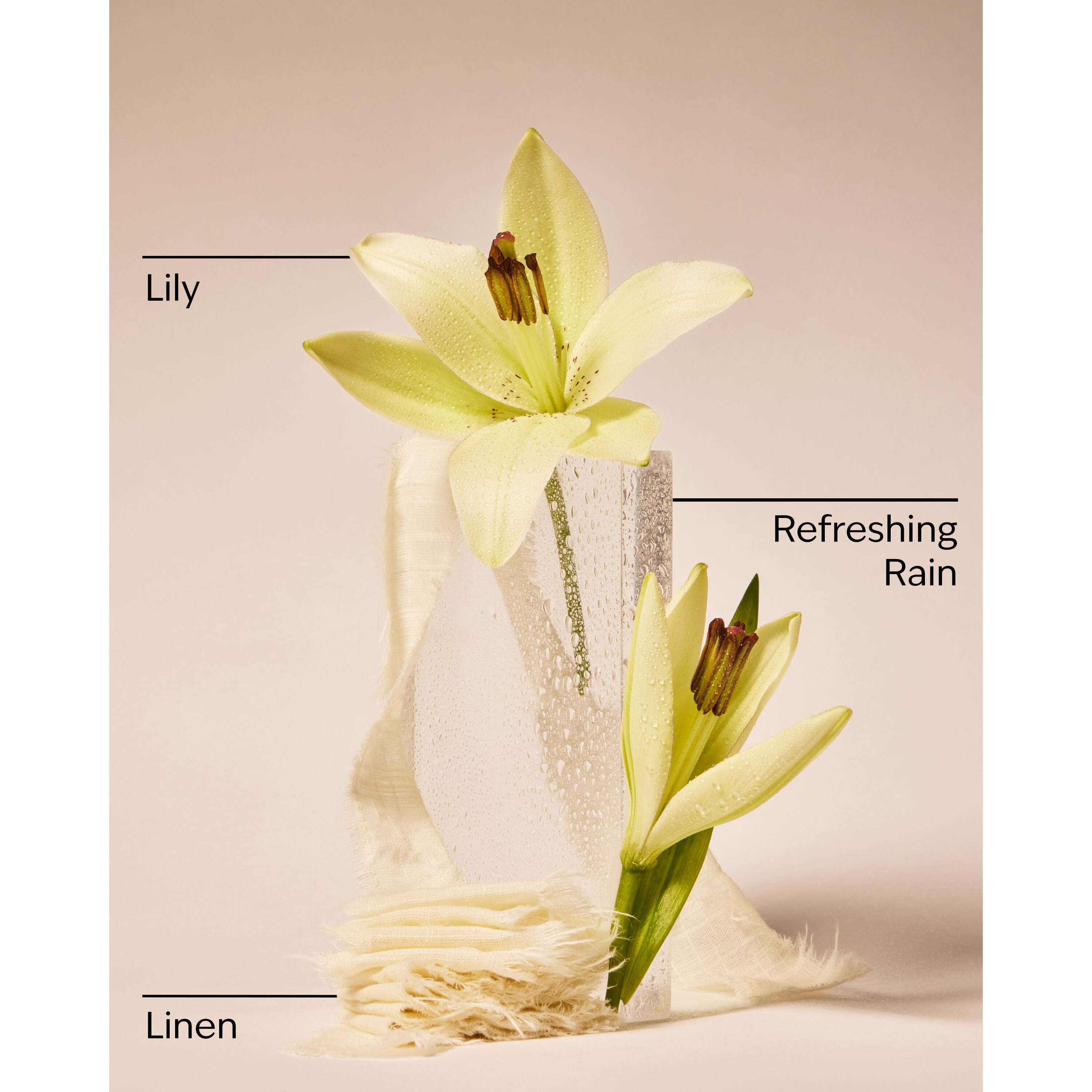 Fresh Rainfall & Linen Concentrated Room Spray - Image 3