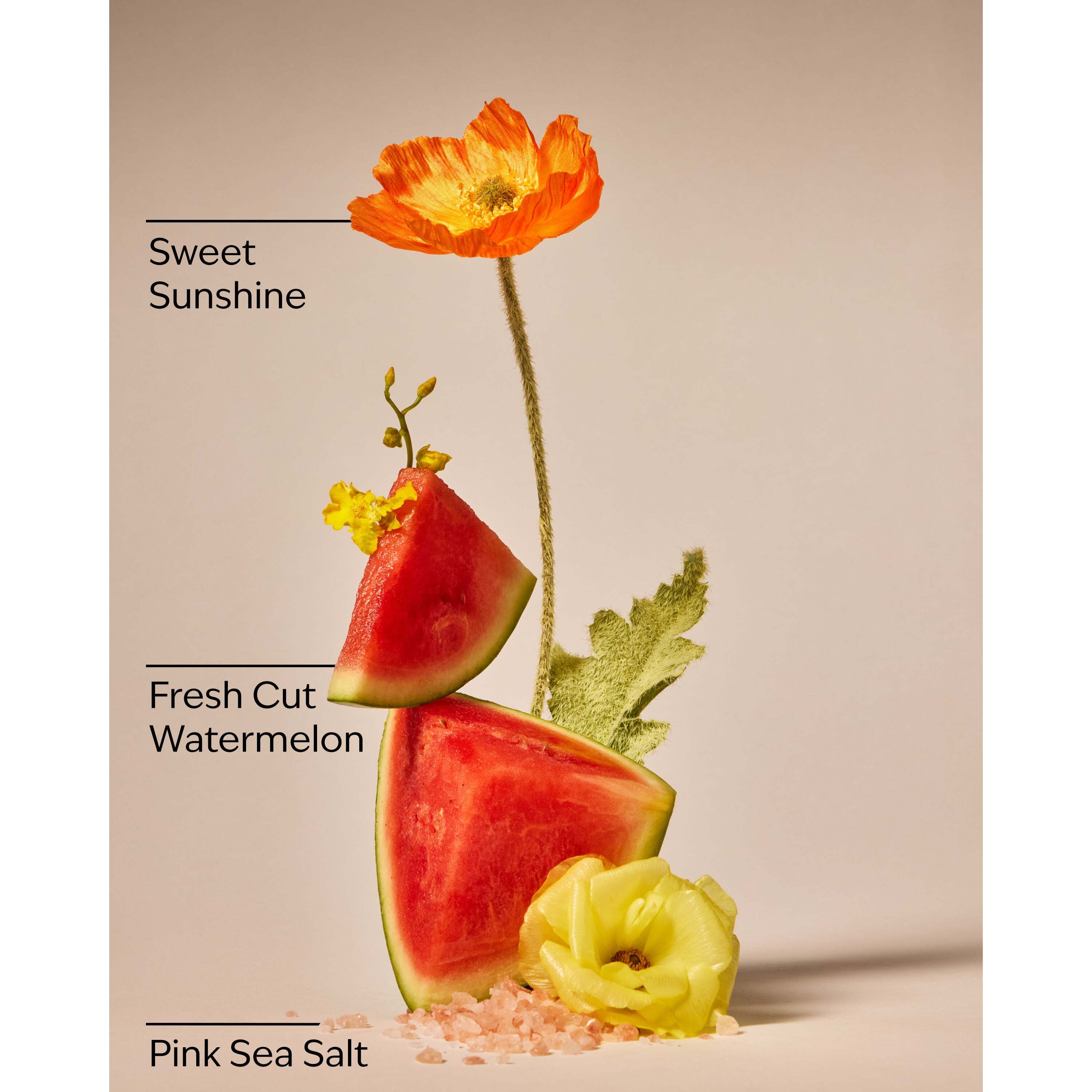 Fresh Watermelon 3-Wick Candle - Image 3