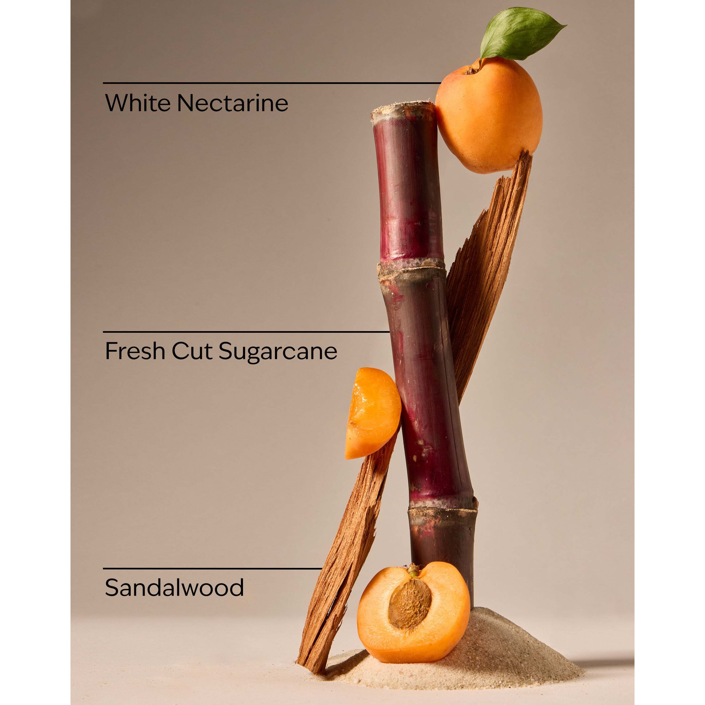 Fiji White Sands Concentrated Room Spray - Image 3