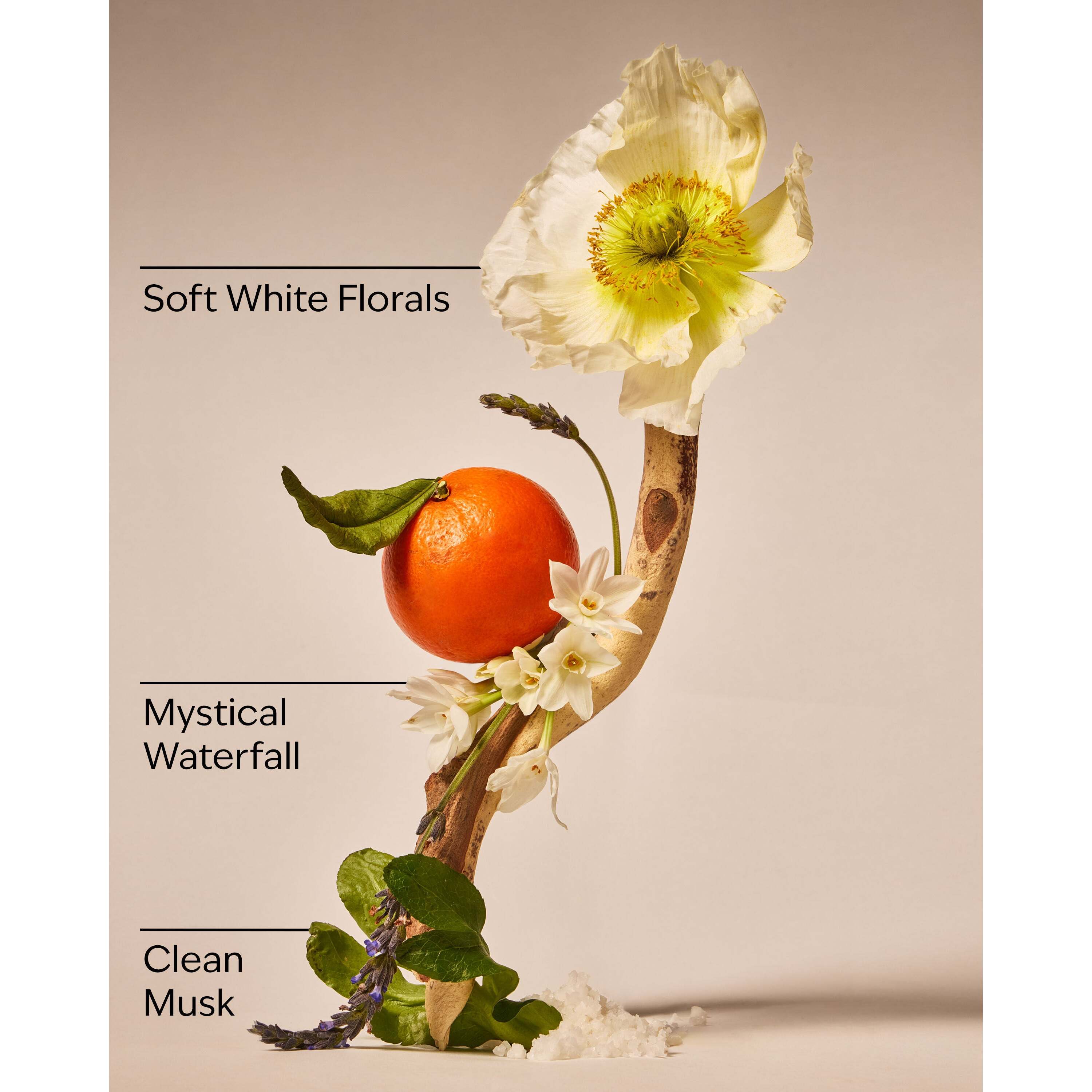 Enchanted Waterfalls Wallflowers Refills 2-Pack - Image 3