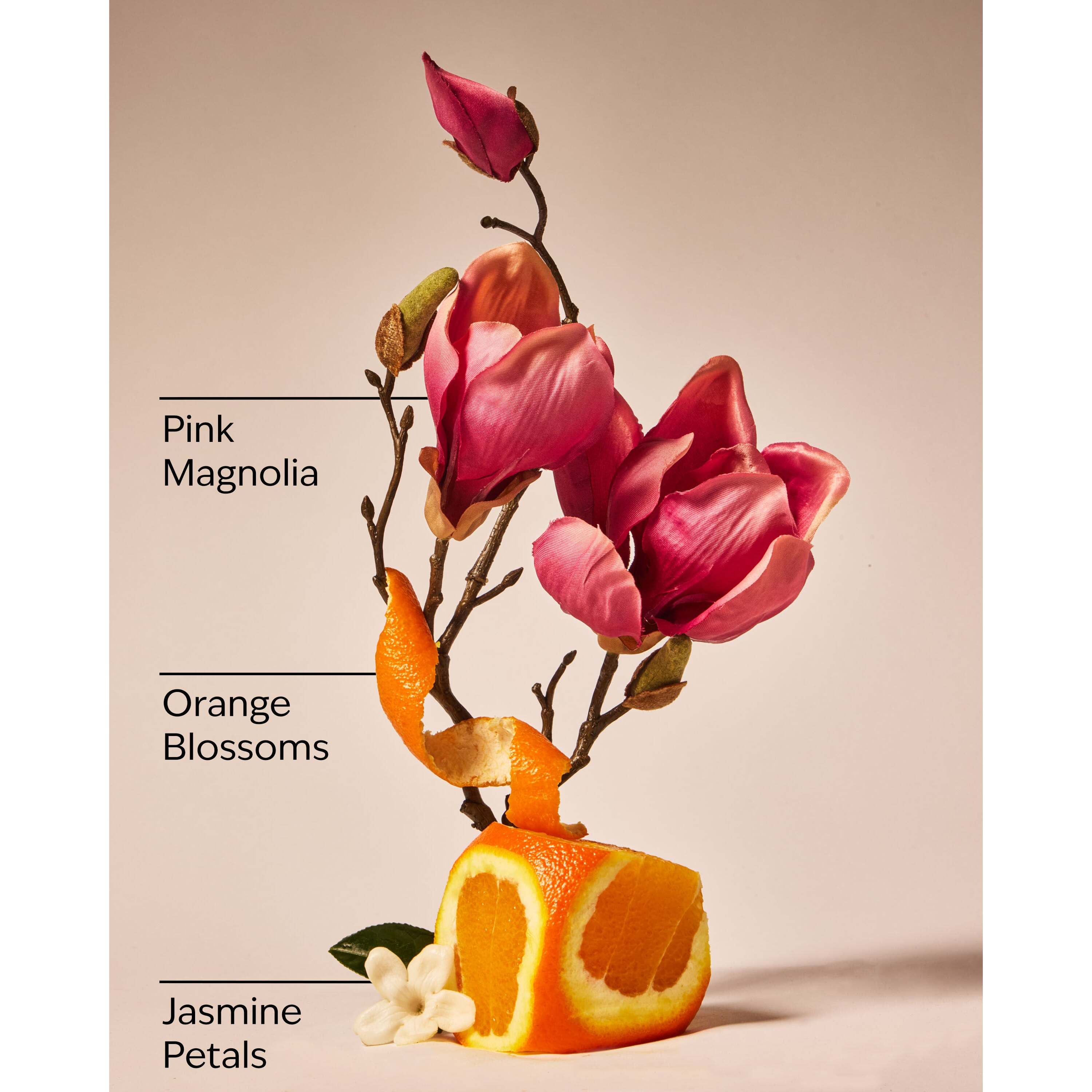 Pink Petal Confetti Wallflowers Fragrance Refill - Image 3