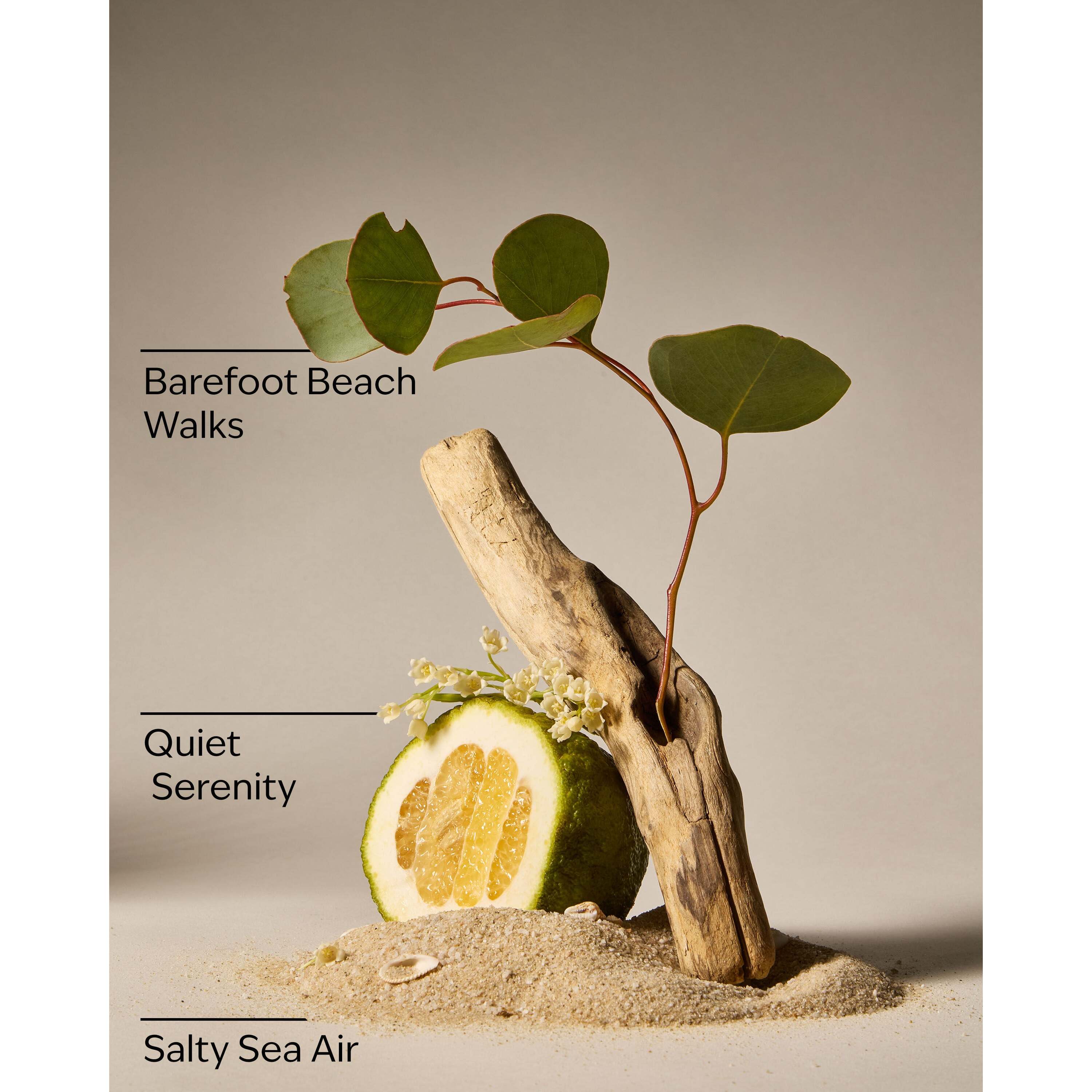 Ocean Town Bound Wallflowers Fragrance Refill - Image 3