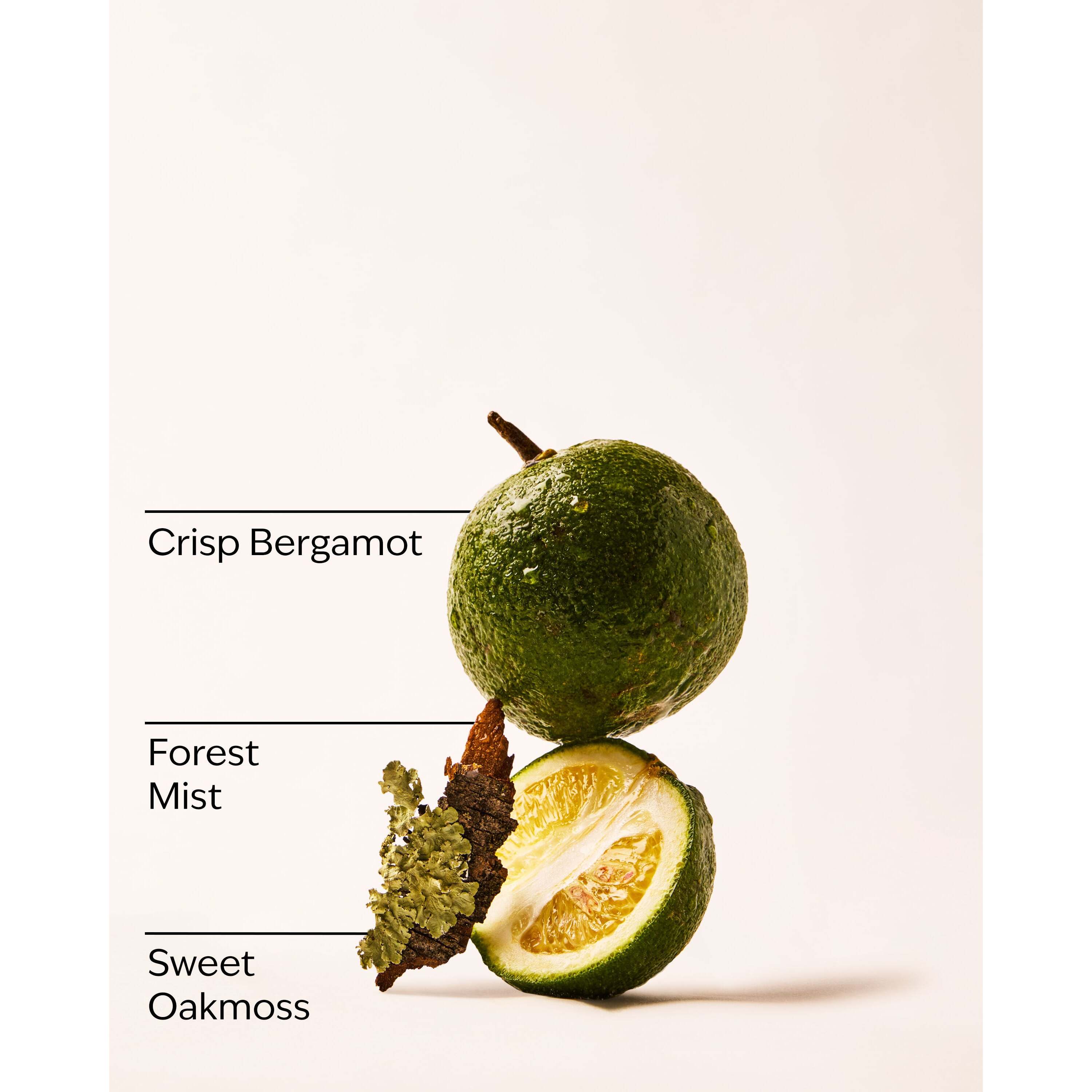 A Quiet Escape Wallflowers Fragrance Refill - Image 3