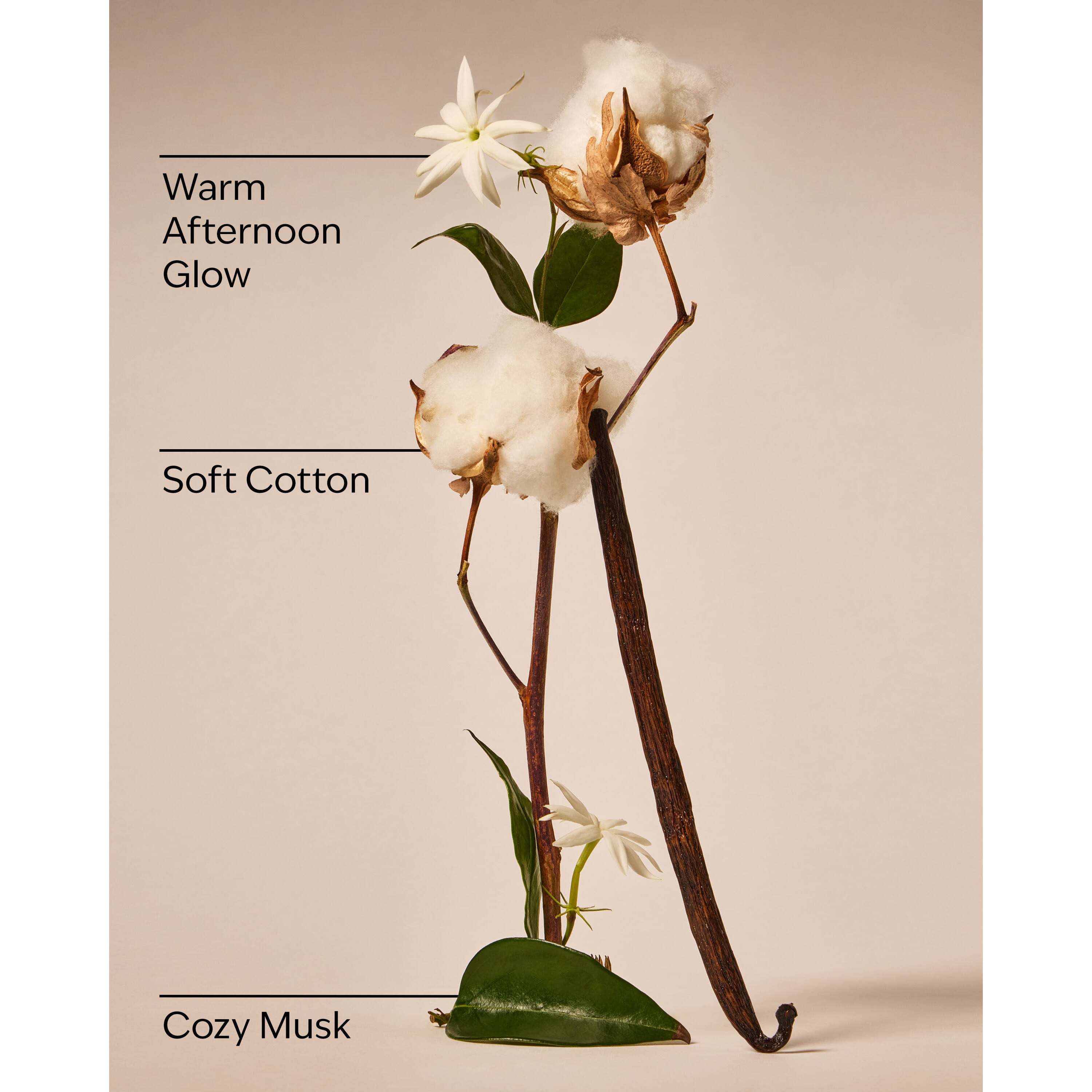 Cat Nap Wallflowers Fragrance Refill - Image 3