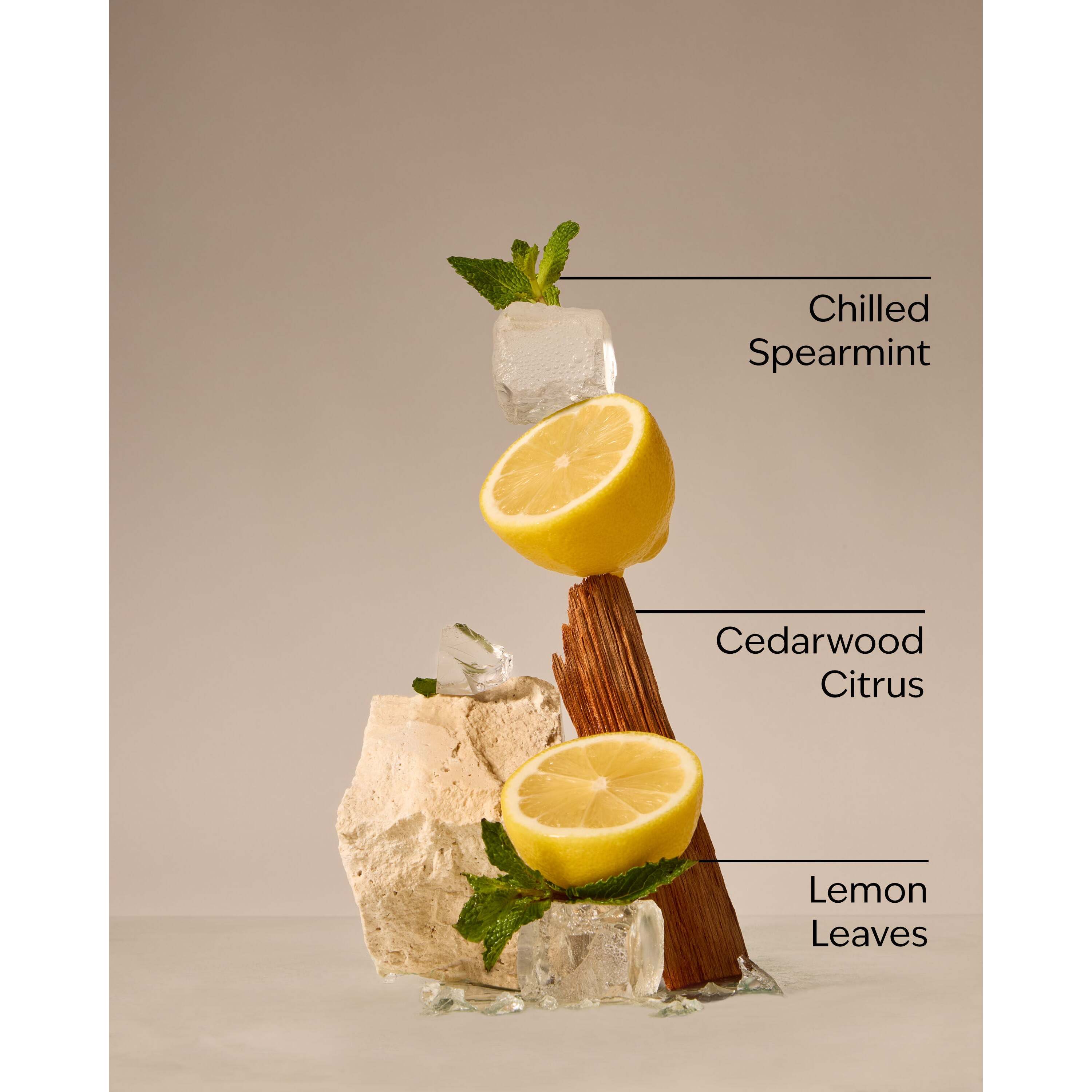 Fresh Amalfi Lemon Wallflowers Refills 2-Pack - Image 3