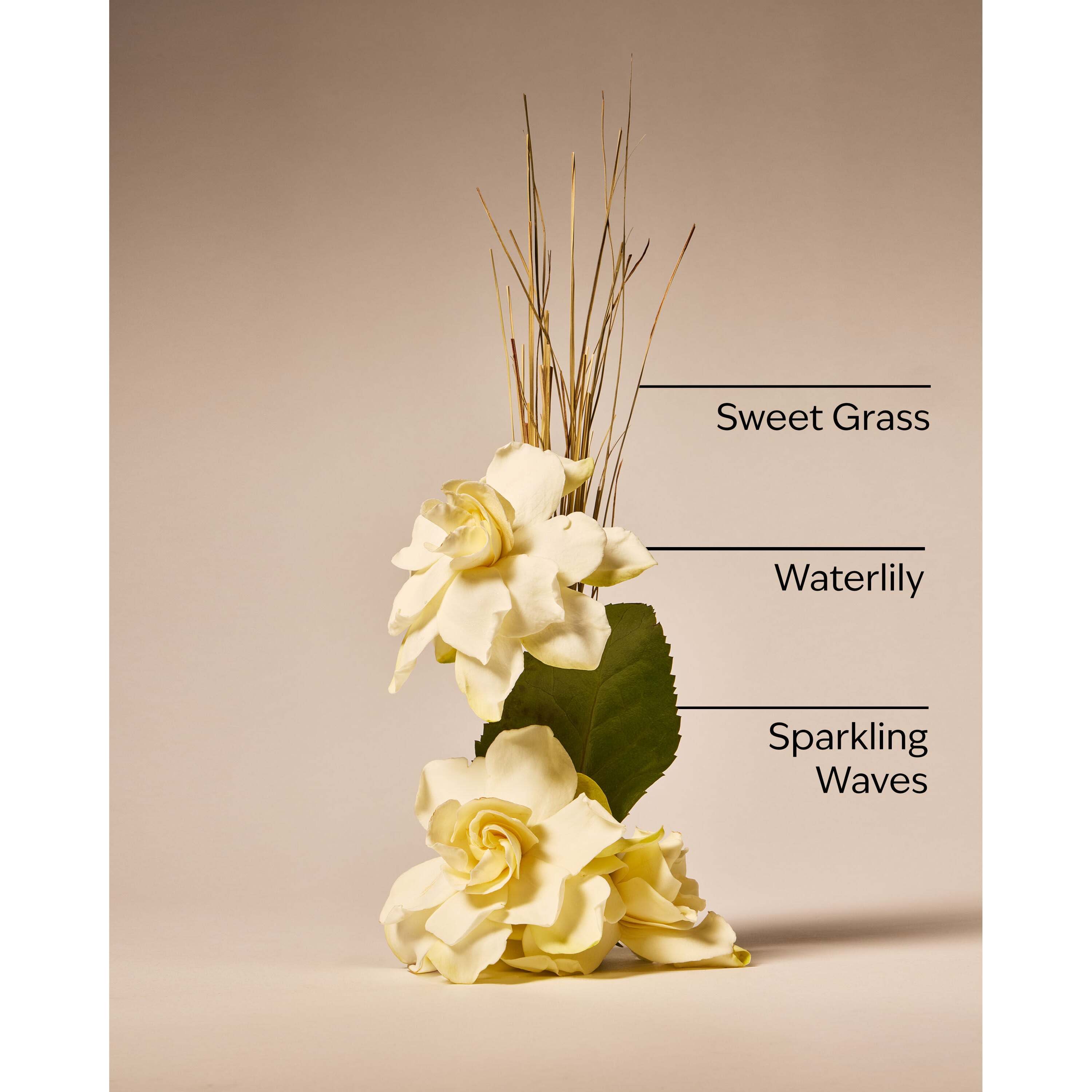 Seagrass Serenity Wallflowers Refills 2-Pack - Image 3