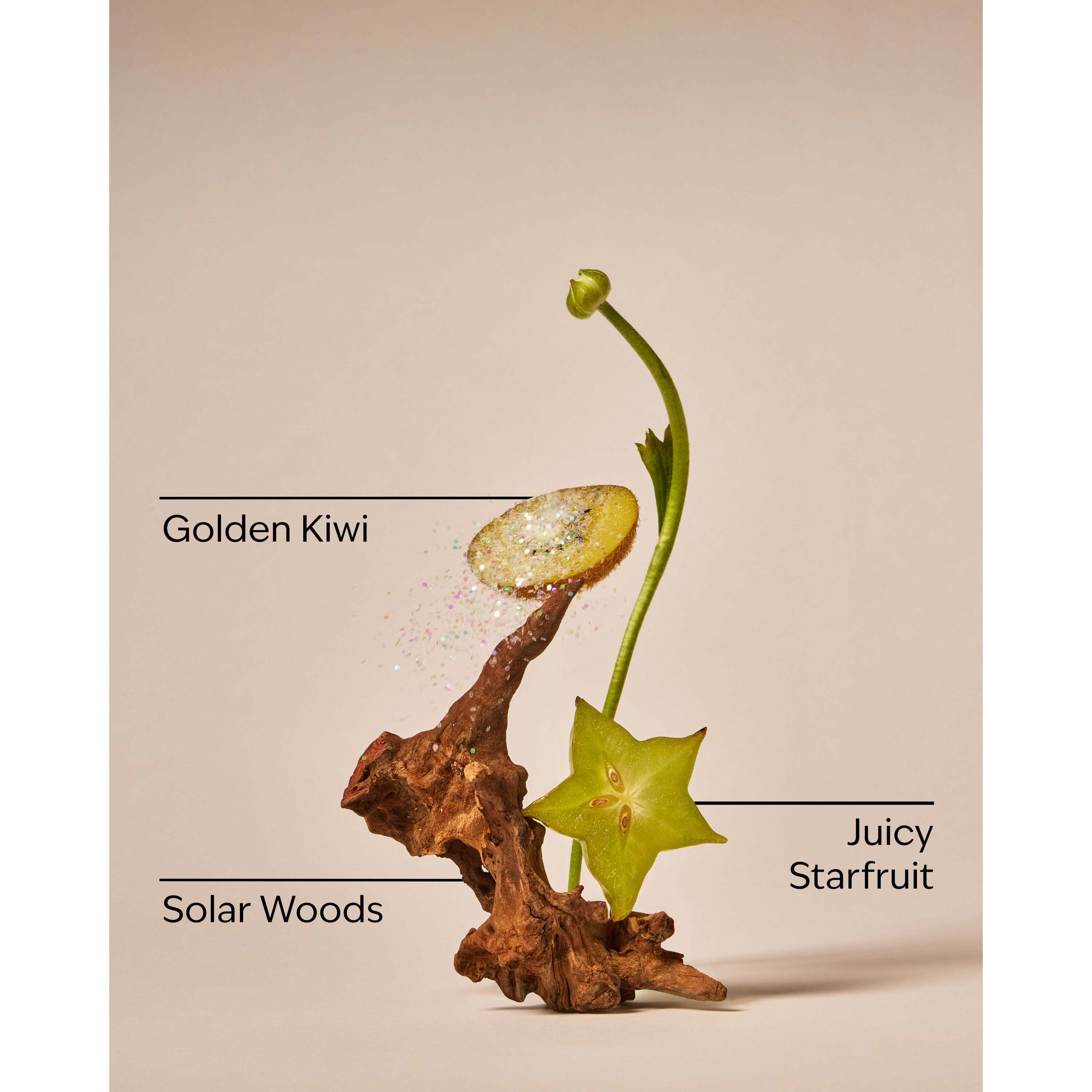 Sweet Kiwi & Starfruit Wallflowers Refills 2-Pack - Image 3