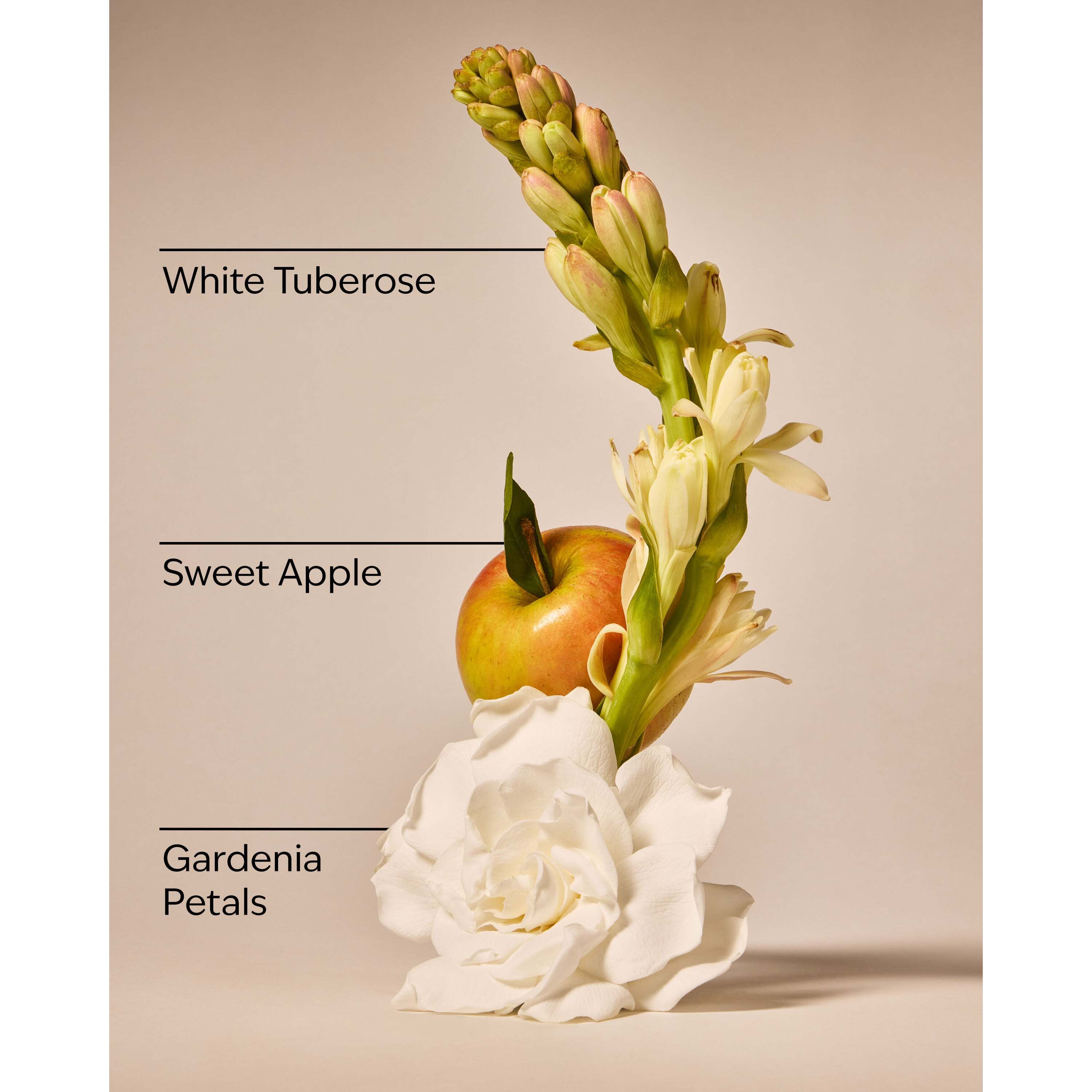 White Gardenia 3-Wick Candle - Image 3