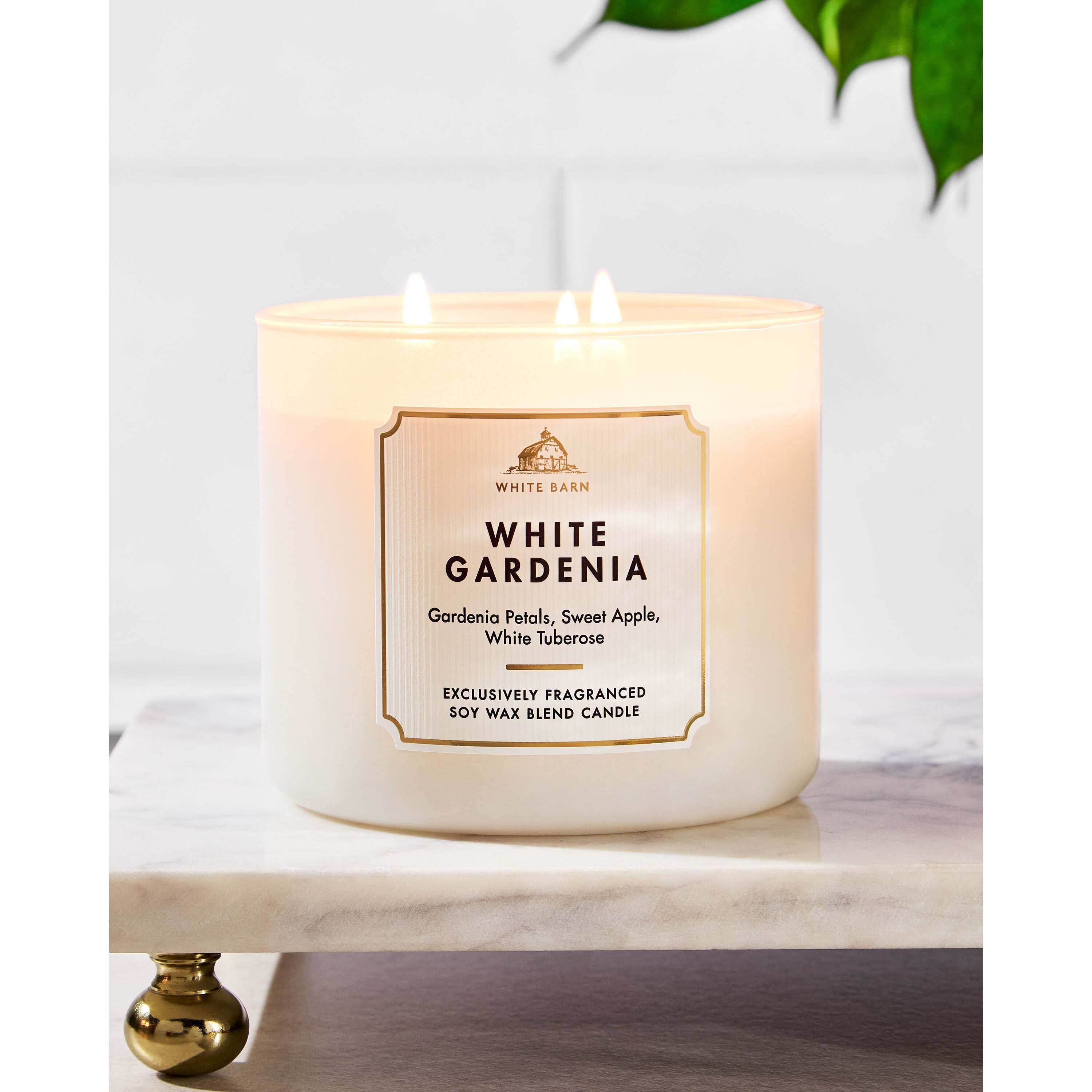 White Gardenia 3-Wick Candle - Image 6